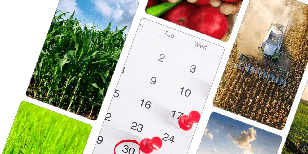 KisanSat Services Hero Image